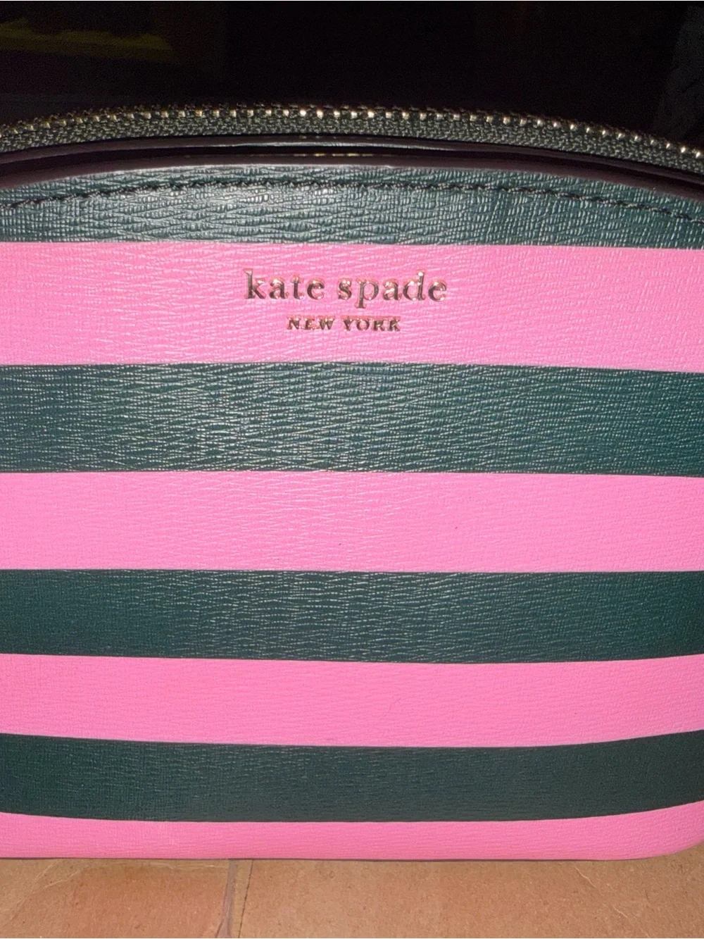 Kate Spade Pink Green Striped Leather Camera Crossbody Bag Gold Chain